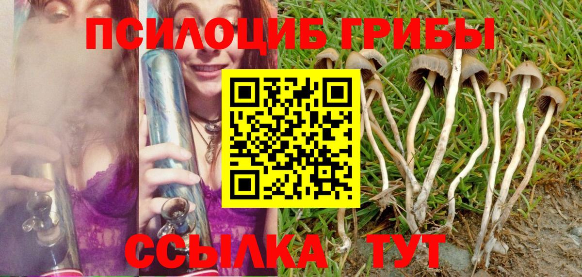 закладки  Галлюциногенные грибы Cubensis  Псилоцибиновые грибы Cubensis  Вход с VPN  Нефтеюганск 